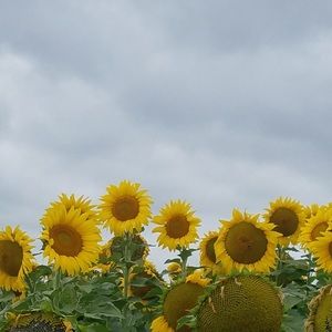 Meet your Posher, Kelli